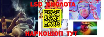винт Новозыбков