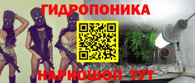 каннабис Новодвинск