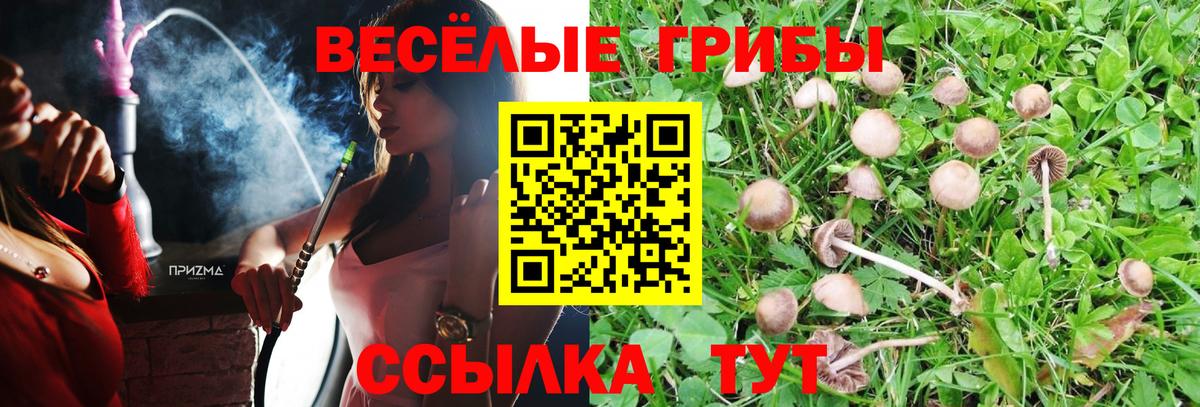 Галлюциногенные грибы мухоморы Курганинск